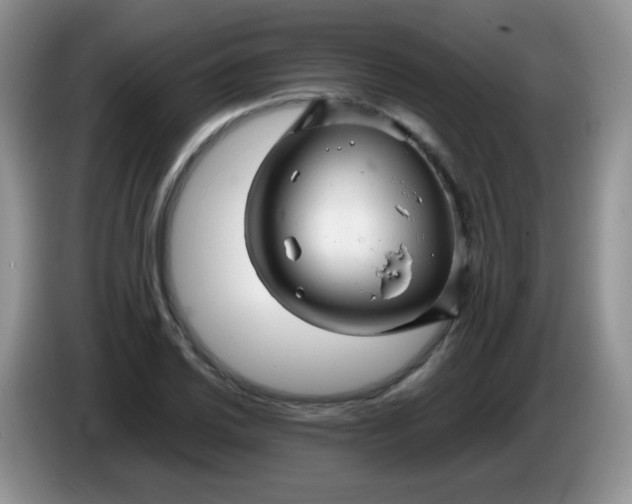 X0000086261030200704122006