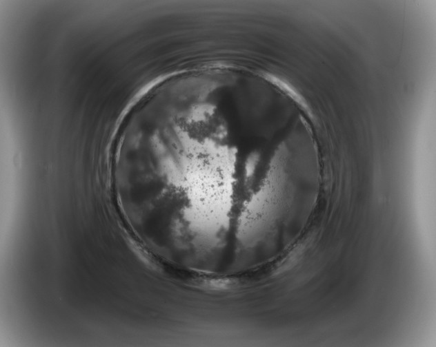 X0000086261031200704122006