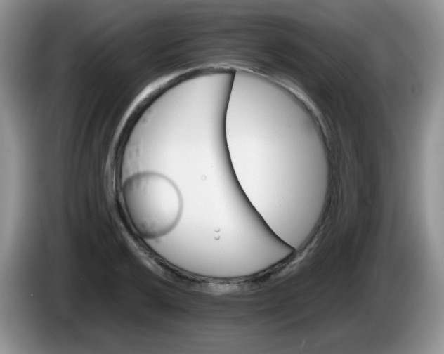 X0000086261032200704122006