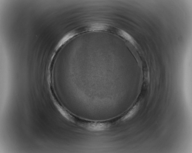 X0000086261034200704122006