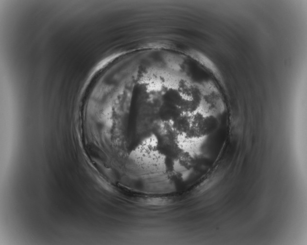 X0000086261035200704122006
