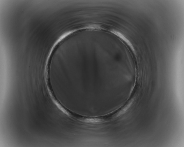 X0000086261037200704122006