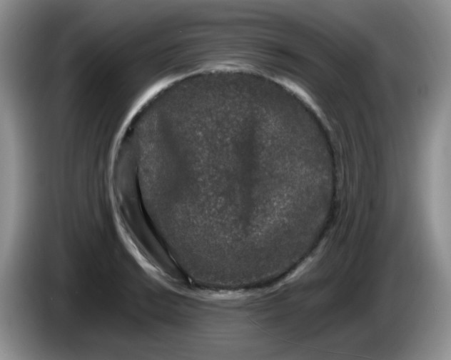 X0000086261038200704122006
