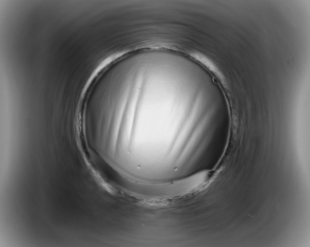 X0000086261040200704122006