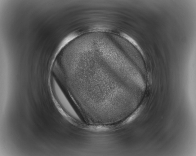 X0000086261042200704122006