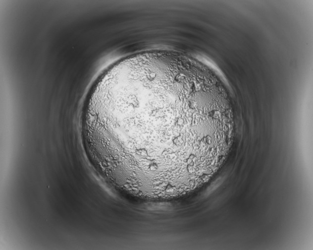 X0000086261043200704122006