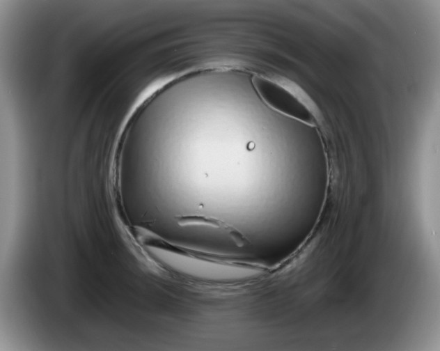 X0000086261044200704122006