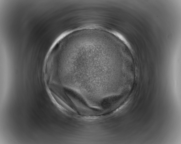X0000086261046200704122007
