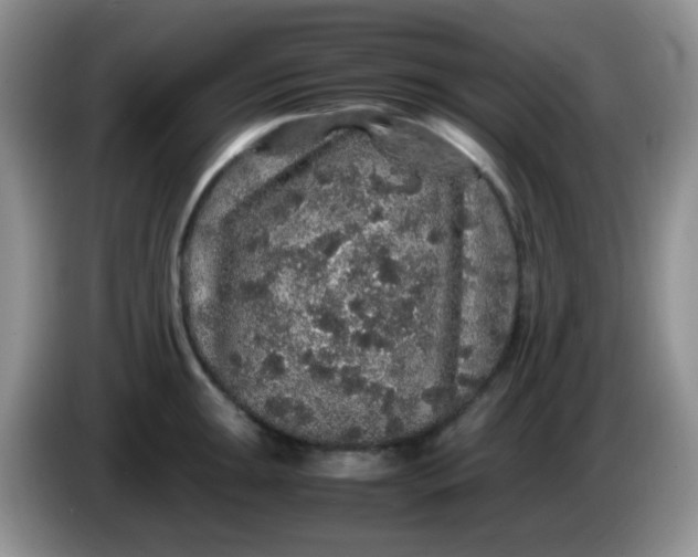 X0000086261047200704122007
