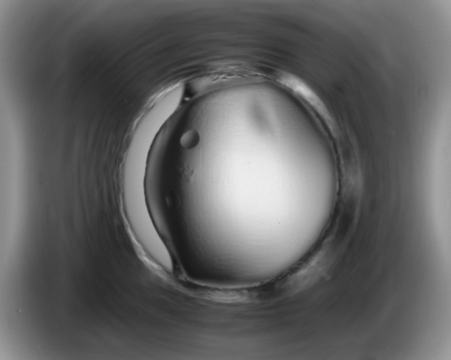 X0000086261049200704122007