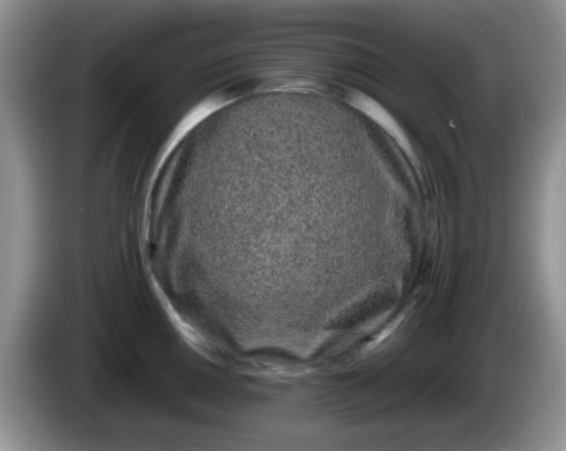 X0000086261050200704122007