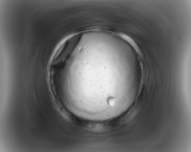 X0000086261051200704122007