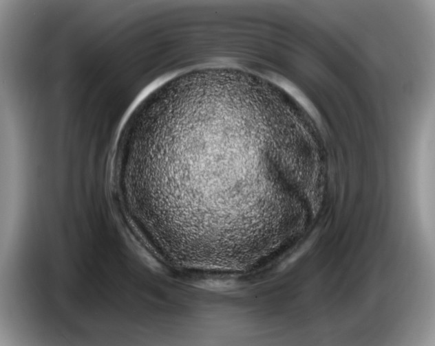 X0000086261052200704122007