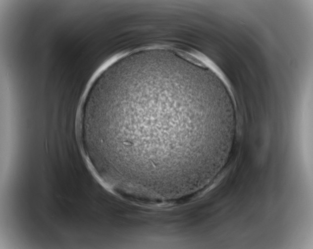 X0000086261053200704122007