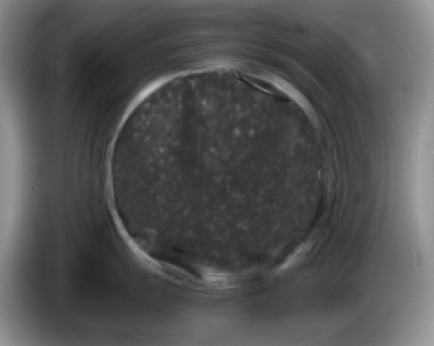 X0000086261055200704122007
