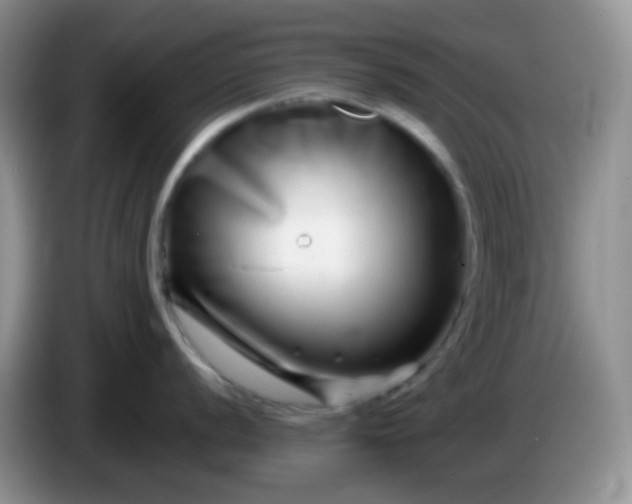 X0000086261056200704122007