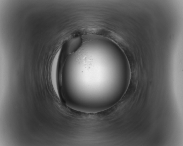 X0000086261058200704122006