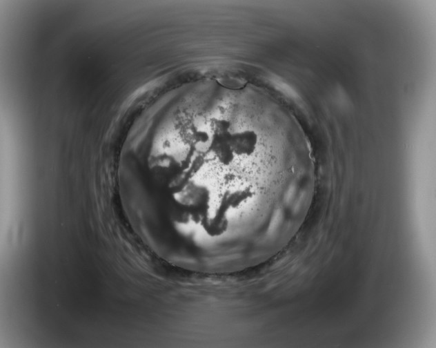 X0000086261063200704122006