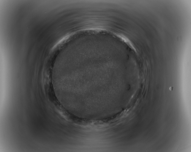 X0000086261064200704122006