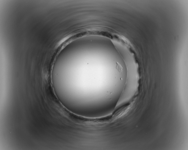 X0000086261065200704122006