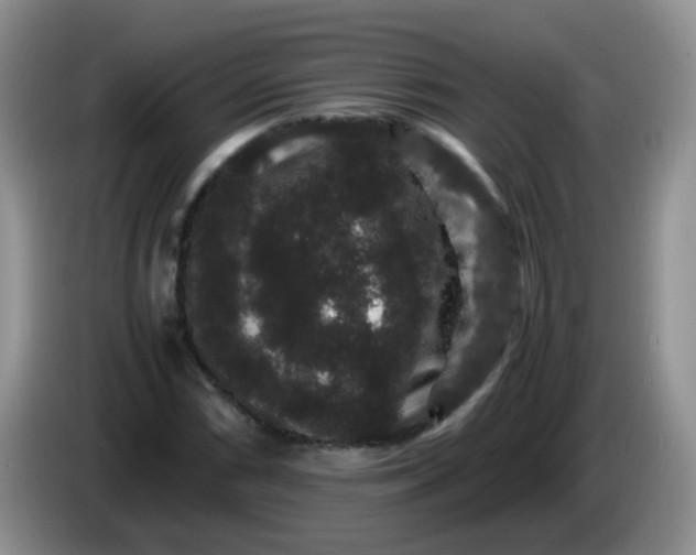 X0000086261066200704122006