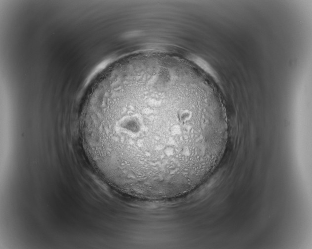 X0000086261067200704122006