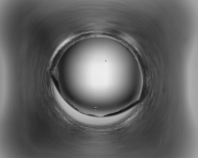 X0000086261069200704122006