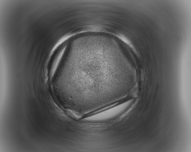 X0000086261070200704122006