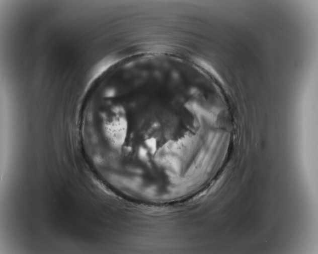 X0000086261071200704122006