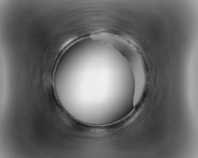 X0000086261073200704122006
