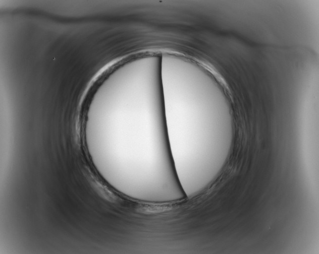 X0000086261076200704122006