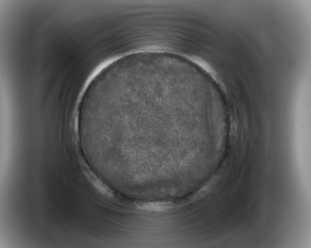 X0000086261078200704122006