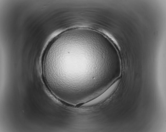 X0000086261080200704122006
