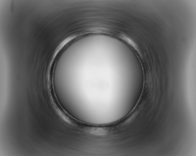 X0000086261082200704122006