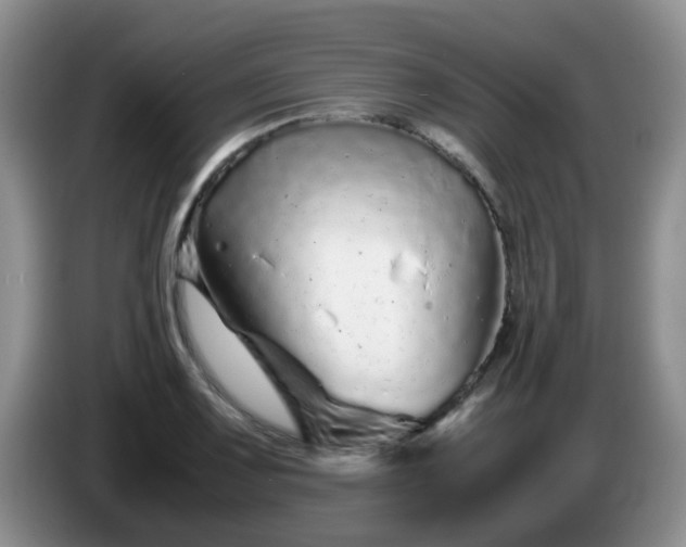X0000086261083200704122006