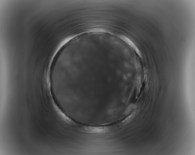 X0000086261084200704122006