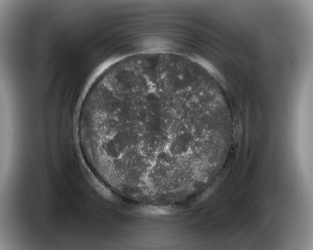 X0000086261086200704122006