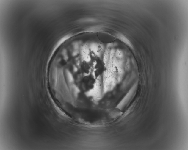 X0000086261087200704122006