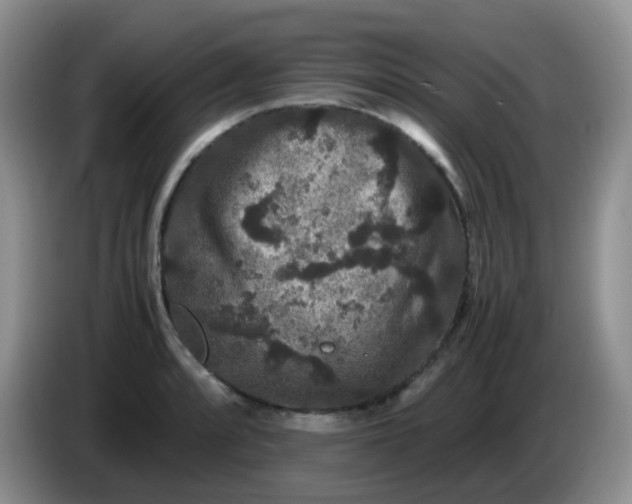 X0000086261088200704122006