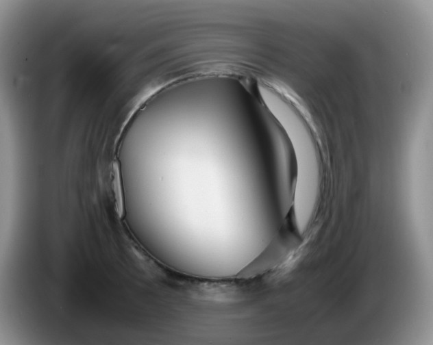 X0000086261089200704122006