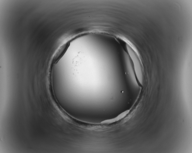 X0000086261093200704122006