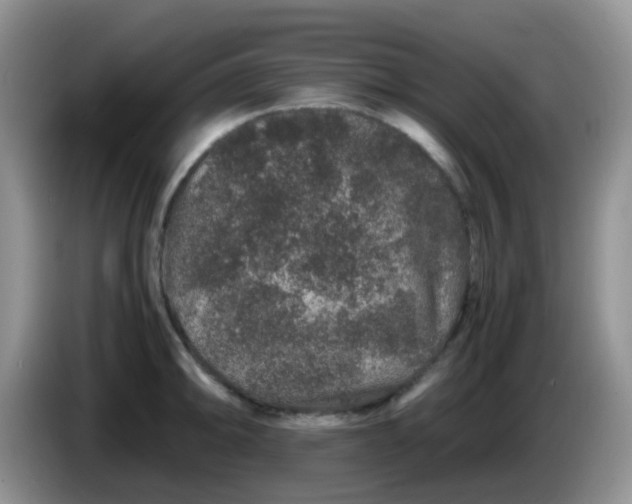 X0000086261094200704122006
