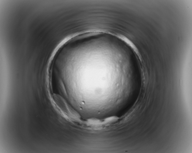 X0000086261096200704122006