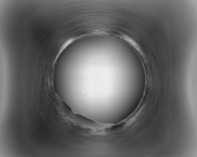 X0000086261097200704122006