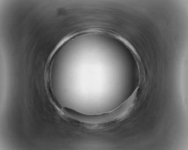 X0000086261101200704122006