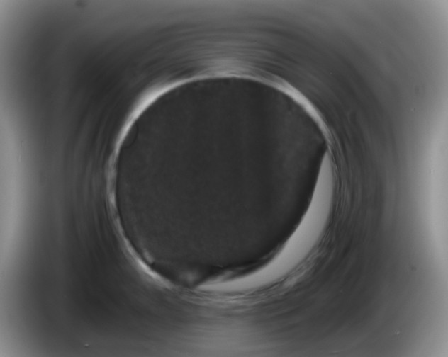 X0000086261102200704122006