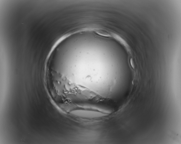 X0000086261103200704122006