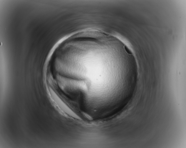 X0000086261104200704122006