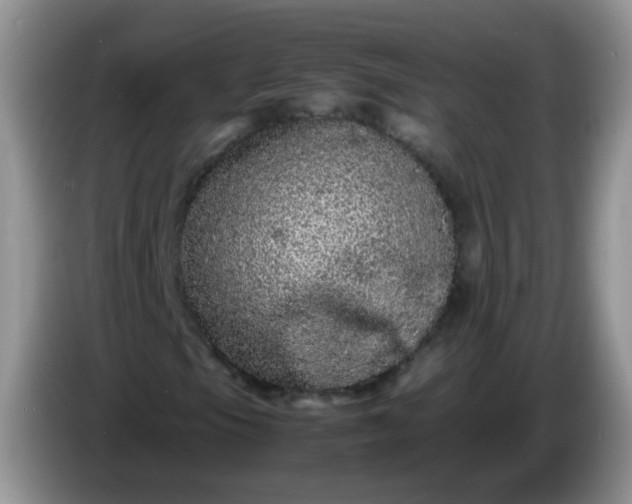 X0000086261105200704122005