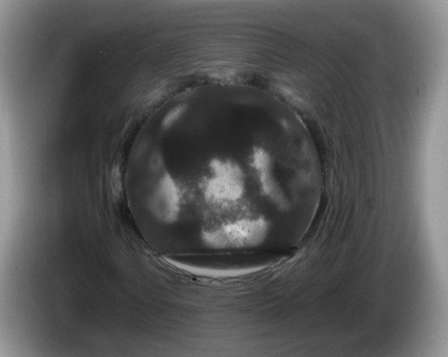 X0000086261106200704122005